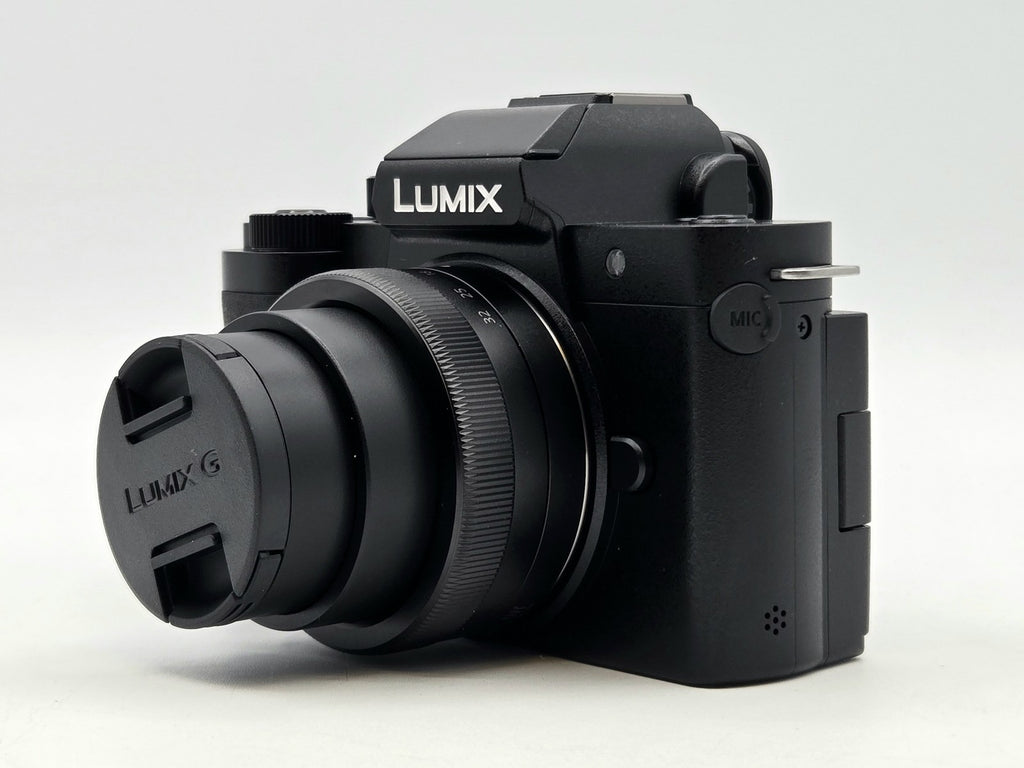 Panasonic Lumix G100D - rear / display view