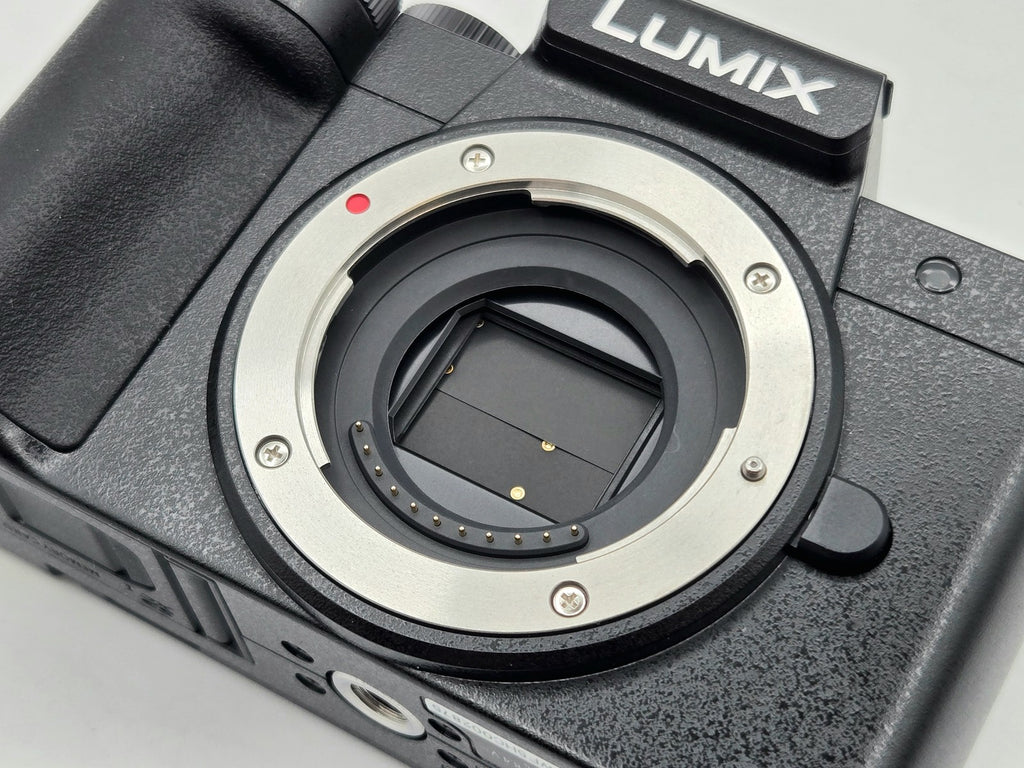 Panasonic Lumix G100D - side view