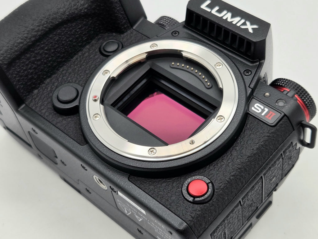 Panasonic Lumix S1II - rear / display view